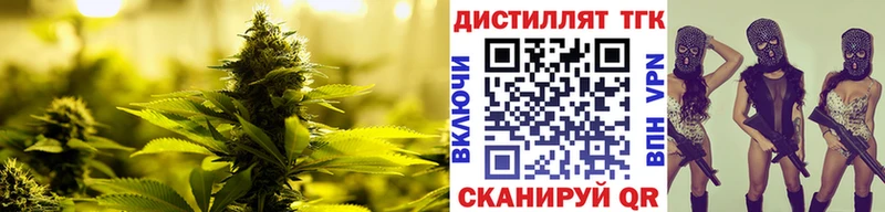 ТГК концентрат  купить закладку  Курск 